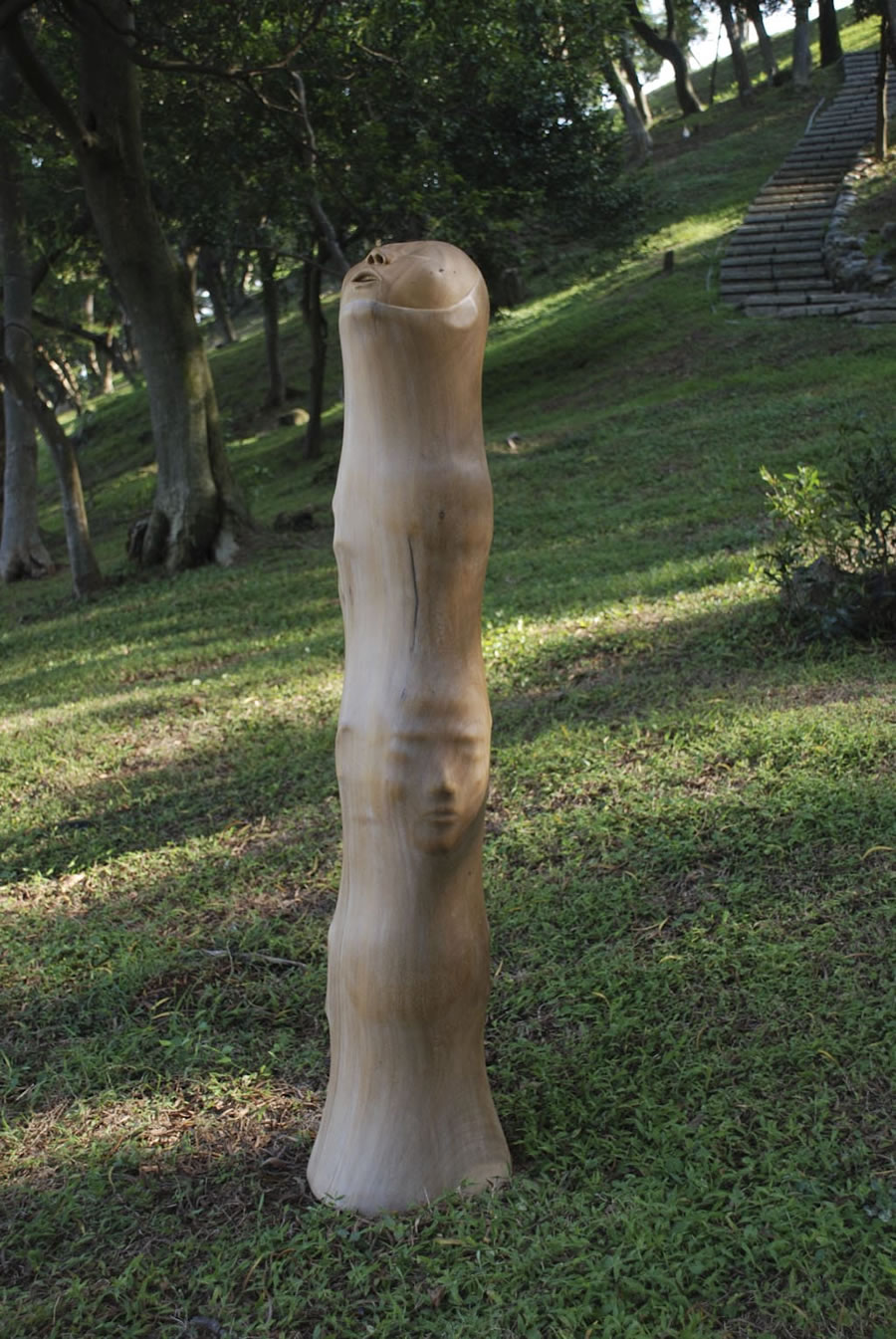 Esculturas esculpidas em madeira por Tung Ming-Chin