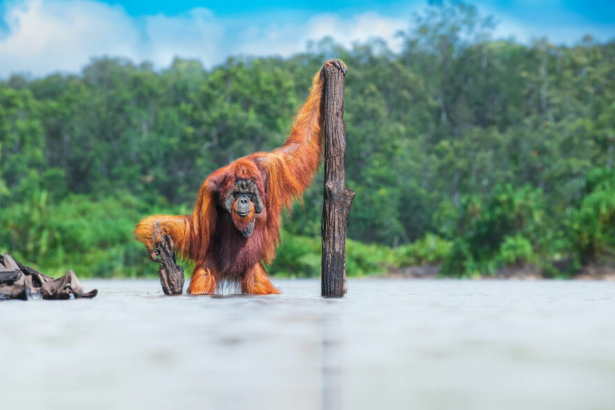 World Nature Photography Awards Winners