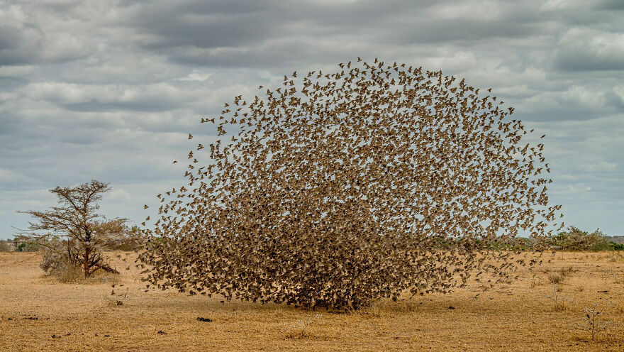 World Nature Photography Awards Winners