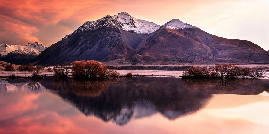 World Nature Photography Awards Winners