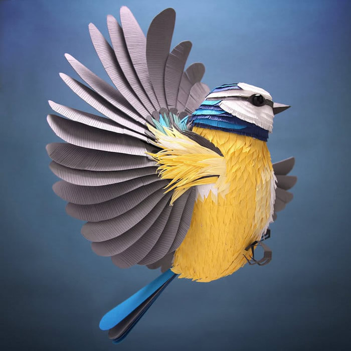 3D Paper Art By Lisa Lloyd