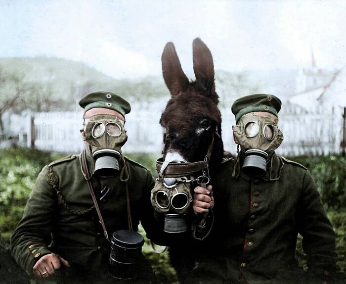 Colorizes Old Photos by Joel Bellviure