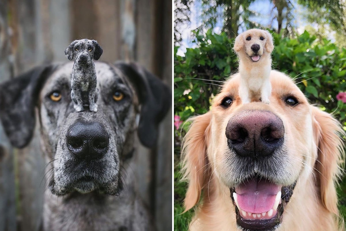 Artist Creates Felted Wool Toys Of Animals And Their Tiny Adorable Twins