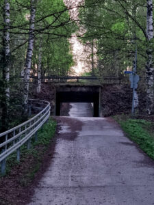 Roope Hirvonen, Finland
