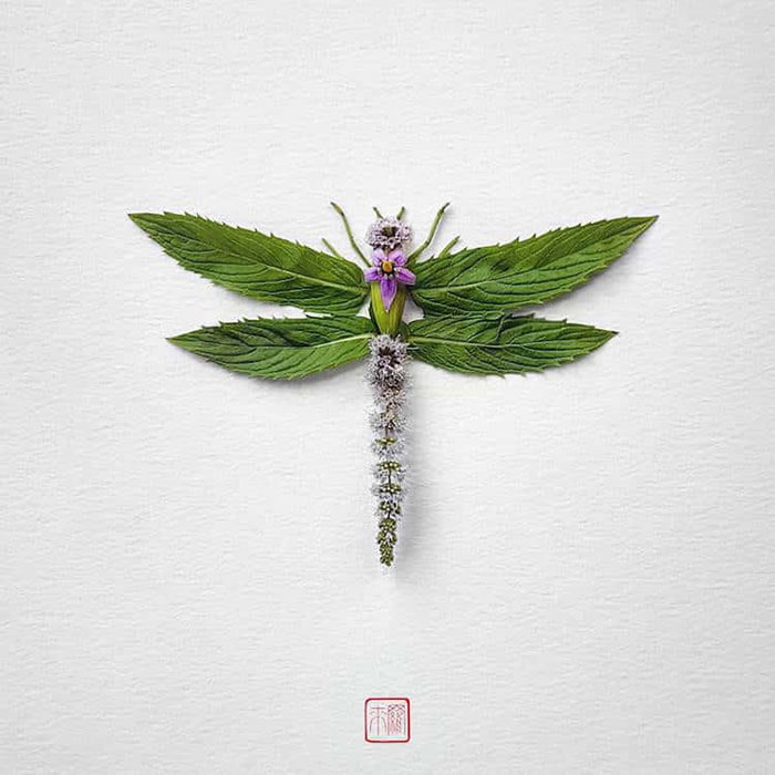 Hand Arranged Floral Elements By Raku Inoue