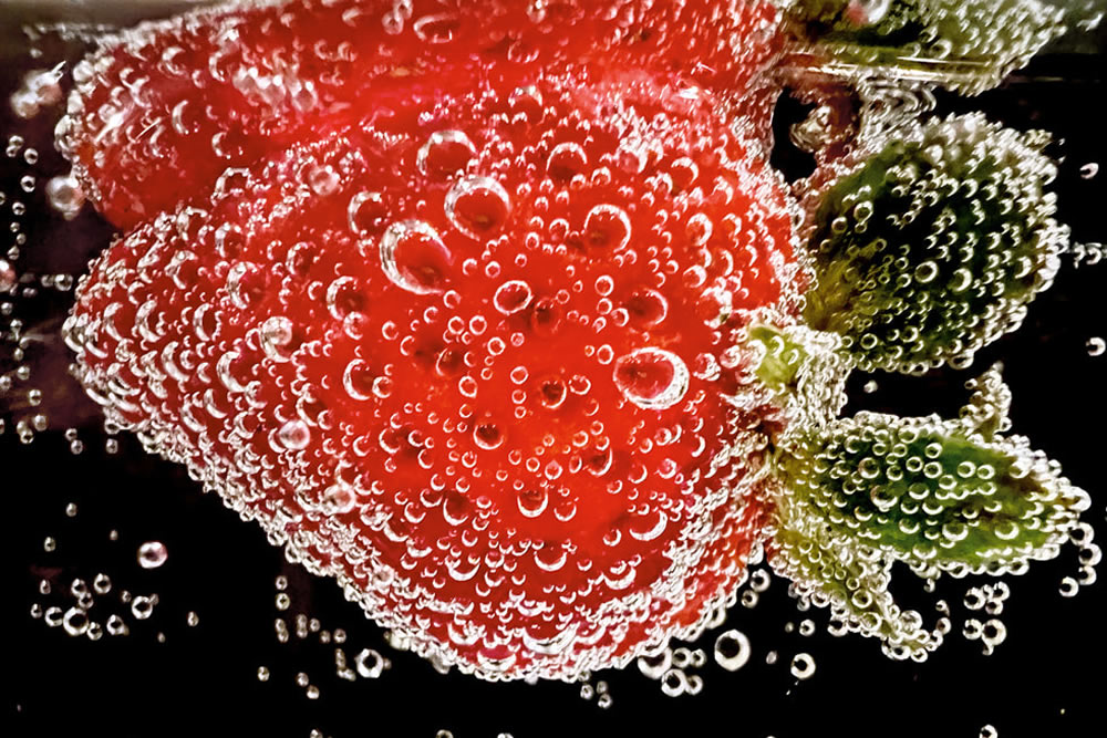 The Best Winning Photos From The iPhone Macro Photography Challenge