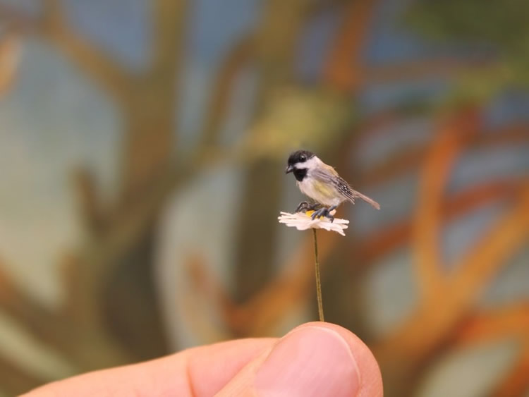 Miniature Animal Sculptures by Katie Doka