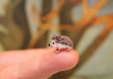 Artist Katie Doka Creates Enchanting Miniature Animal Sculptures