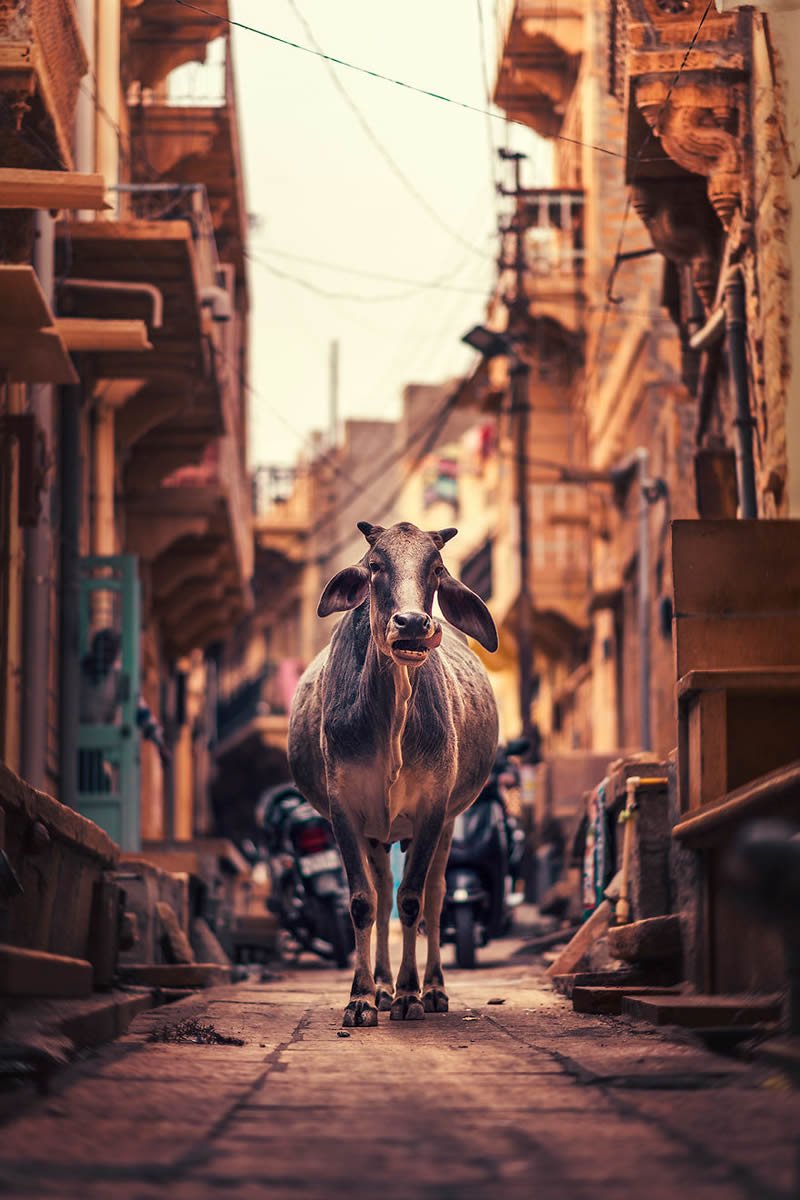 Narrow Streets Of South Asia By Ashraful Arefin