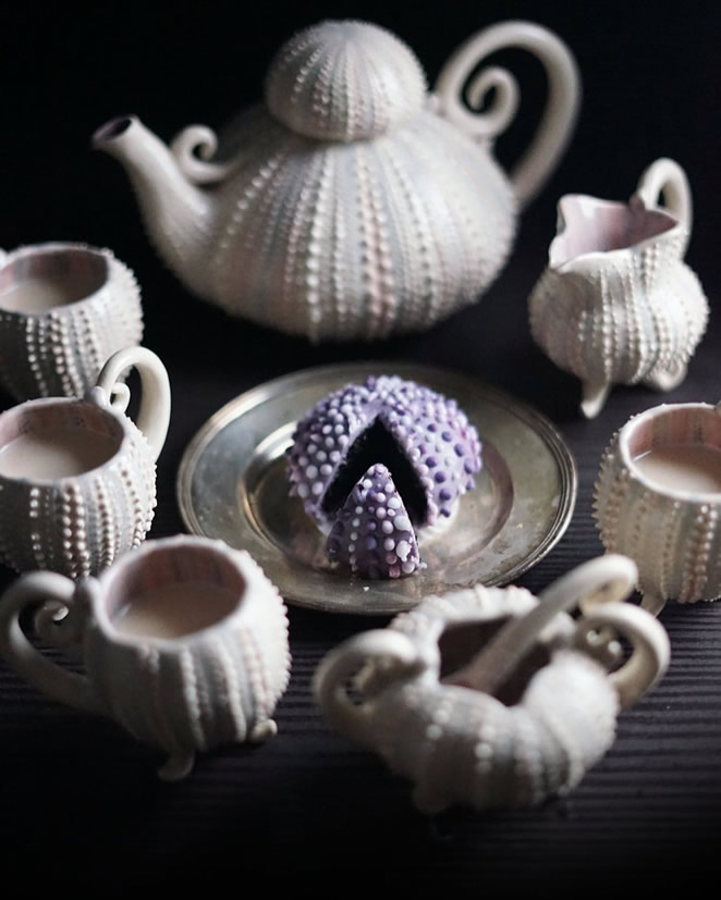 Nature Inspired Ceramics By Miss Wondersmith