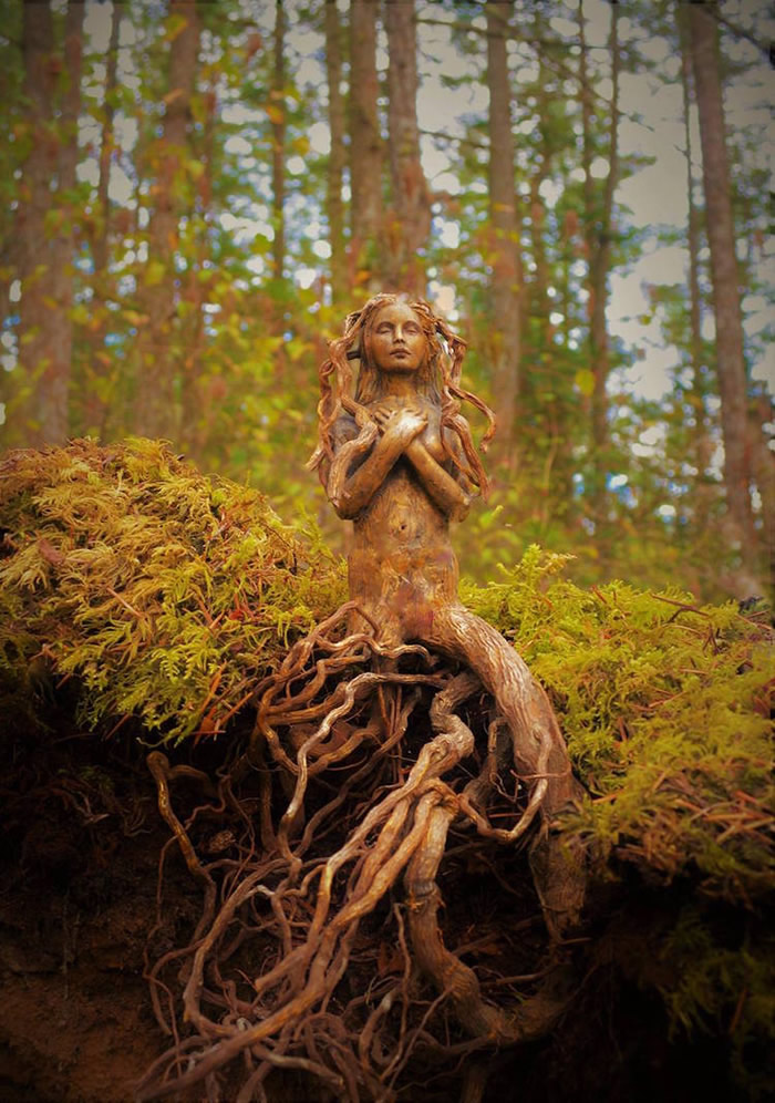 Wood Sculptures By Debra Bernier