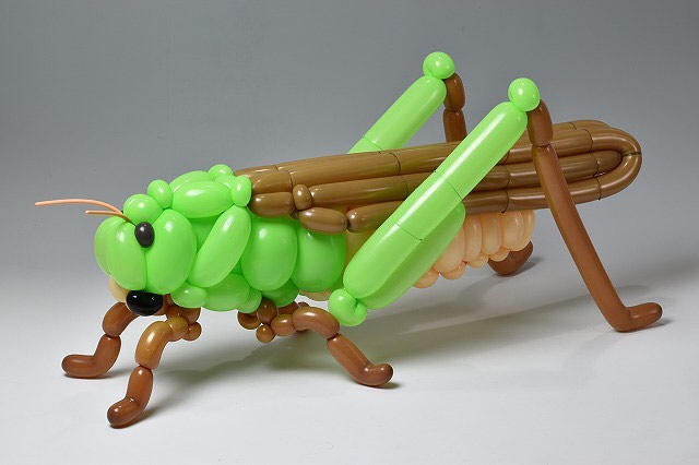 Balloon Animals By Masayoshi Matsumoto