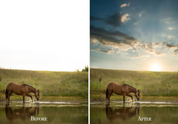 Photographer Phillip Haumesser Shows Some Lessons With These Before And After Photos