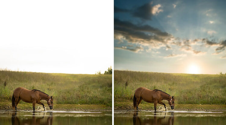Photographer Phillip Haumesser Shows Some Lessons With These Before And After Photos