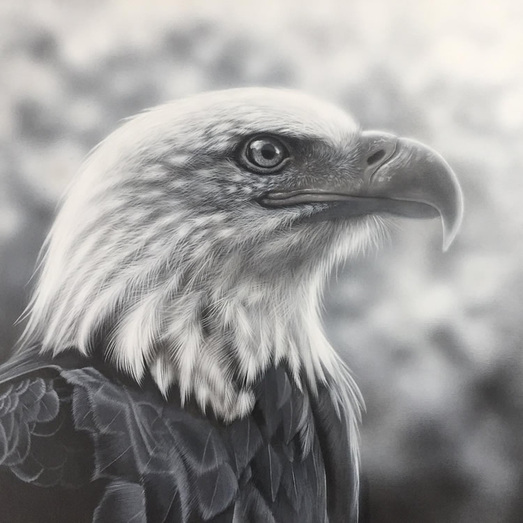 Wildlife Artist Sarah Still Creates Stunning Animal Paintings That Look ...