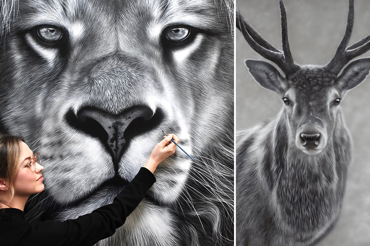 Wildlife Artist Sarah Still Creates Stunning Animal Paintings That Look Like Photos