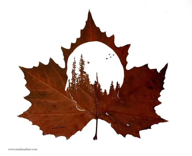 Beautiful Leaf Art By Omid Asadi