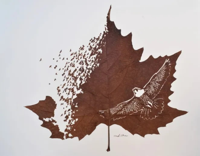 Beautiful Leaf Art By Omid Asadi