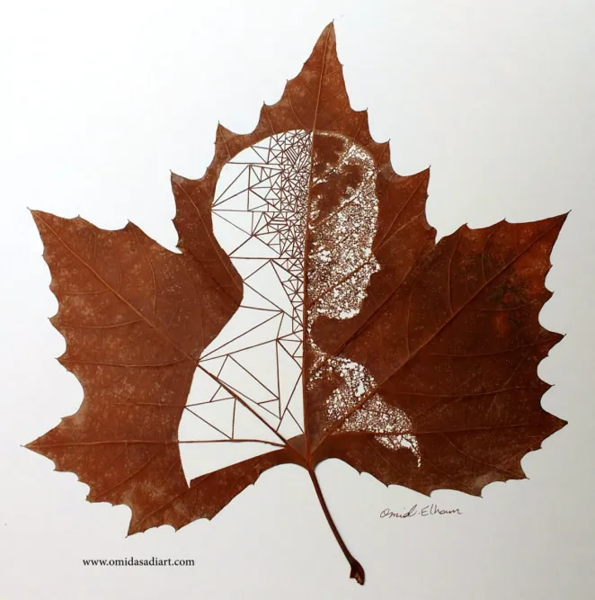 Beautiful Leaf Art By Omid Asadi