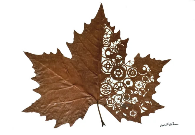 Beautiful Leaf Art By Omid Asadi