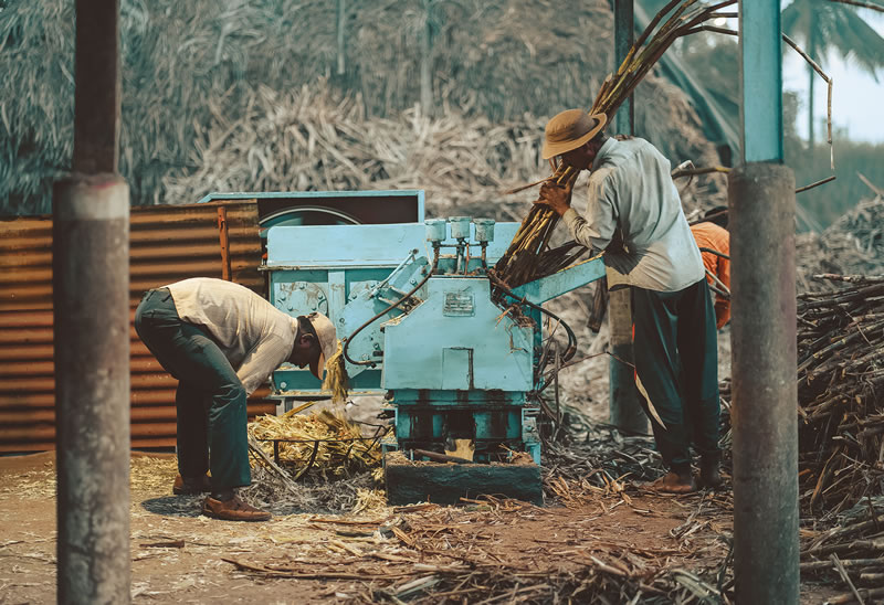 Life Of Jaggery Workers By Vedant Kulkarni