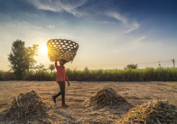 Life Of Jaggery Workers, Photo Story By Vedant Kulkarni