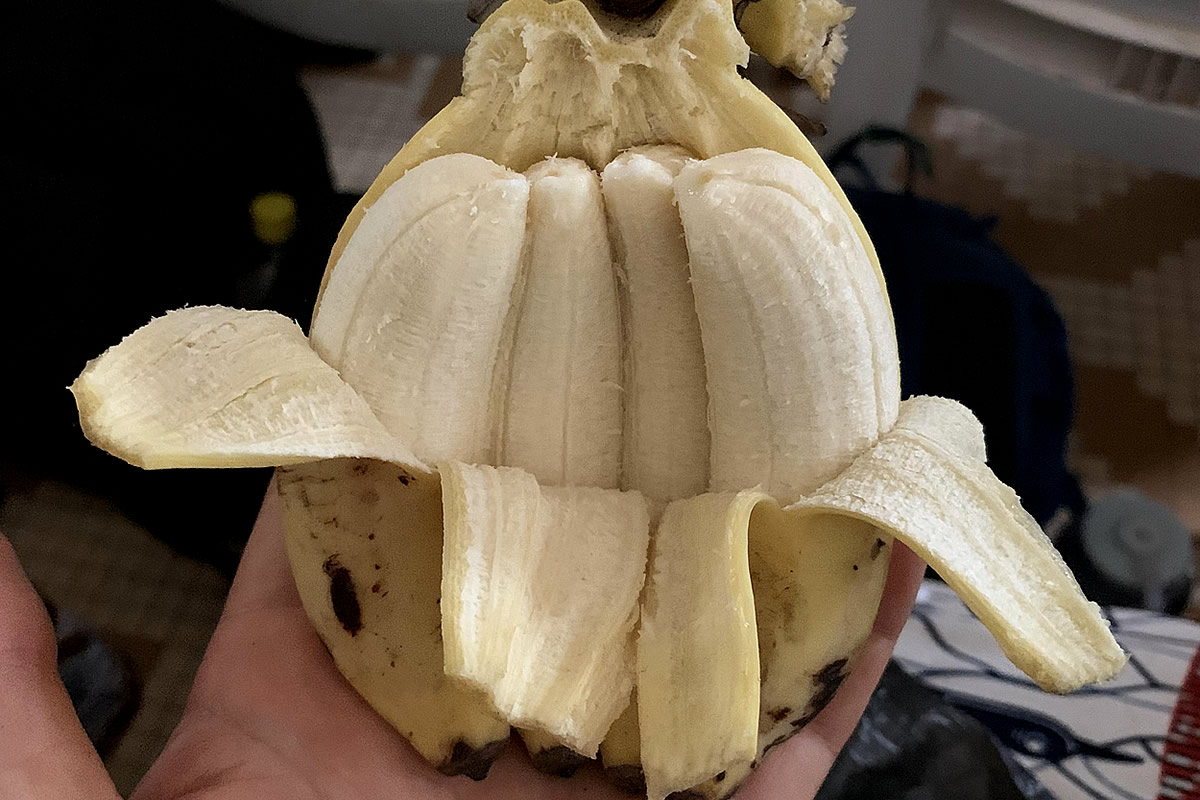 20 Photos That Shows Ordinary Things Suddenly Decided To Amuse Us