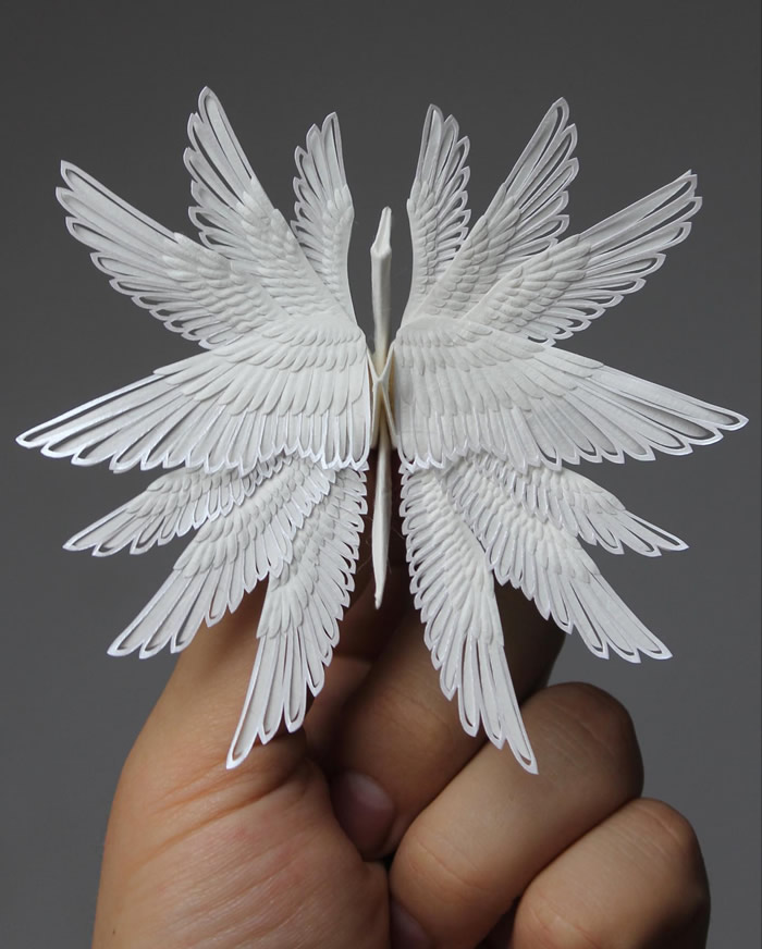 Origami Paper Cranes By Cristian Marianciuc