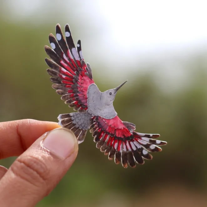 Paper Cut Sculptures Of Birds By Nayan Shrimali and Vaishali Chudasama