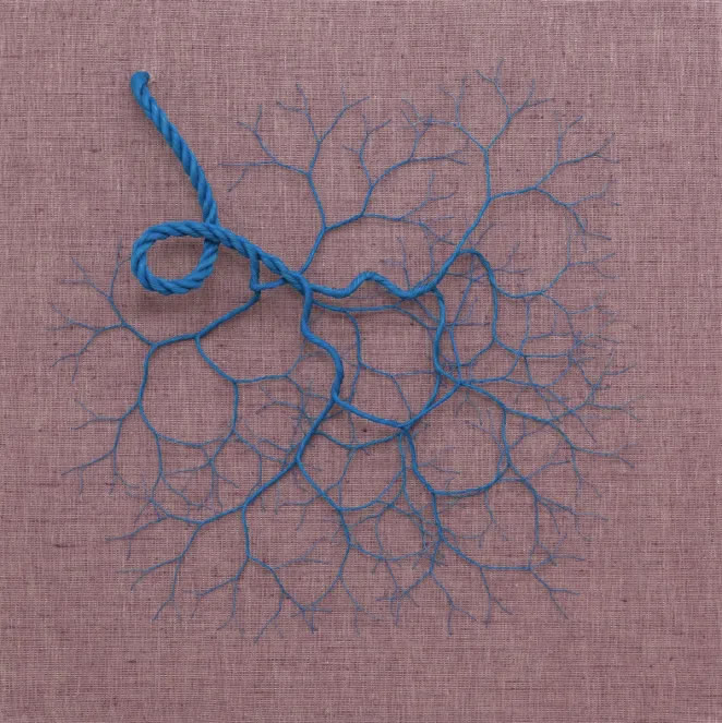 Threaded Rope Artworks By Janaina Mello Landini