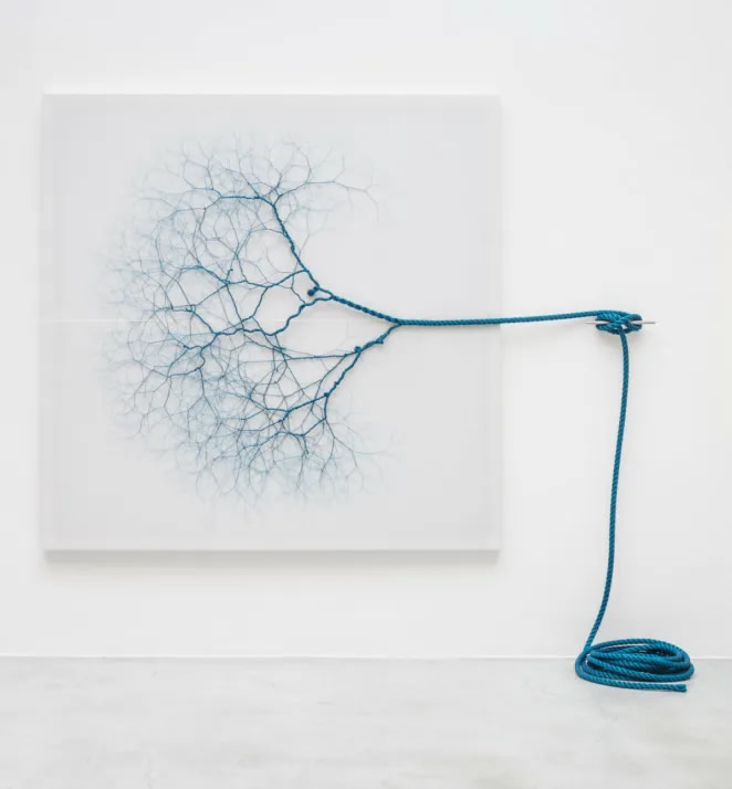 Threaded Rope Artworks By Janaina Mello Landini