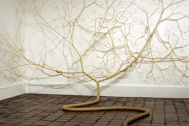 Threaded Rope Artworks By Janaina Mello Landini