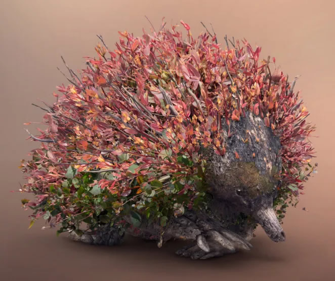 Digital Art With Nature Elements By Josh Dykgraaf