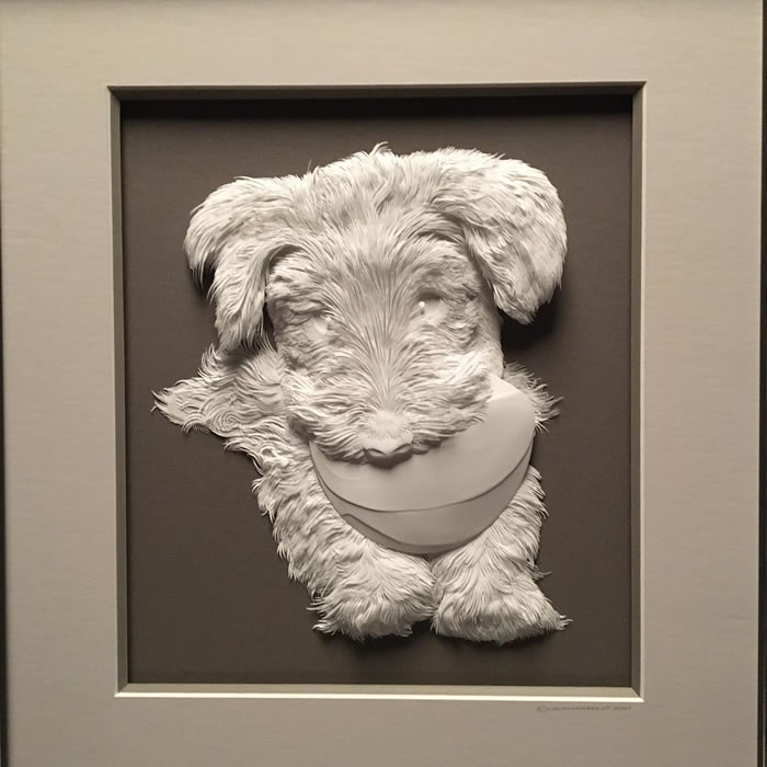 3D Paper Art By Calvin Nicholls