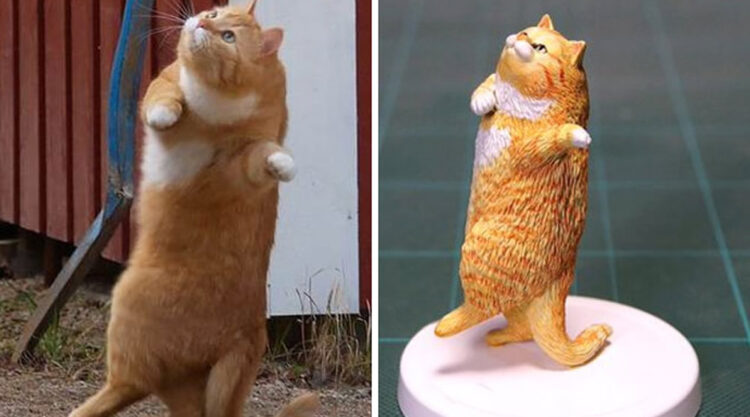 Japanese Artist Meetissai Turns Hilarious Animal Moments Into Sculptures