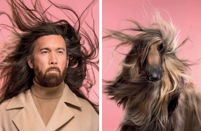 Photographer Gerrard Gethings Captures The Similarities Of Dogs And Their Humans