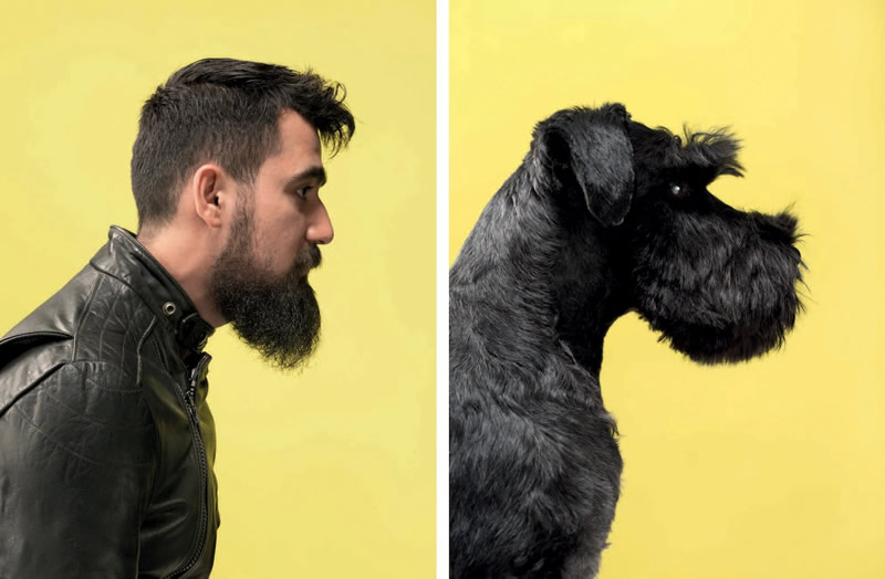 Similarities Of Dogs And Their Humans By Gerrard Gethings
