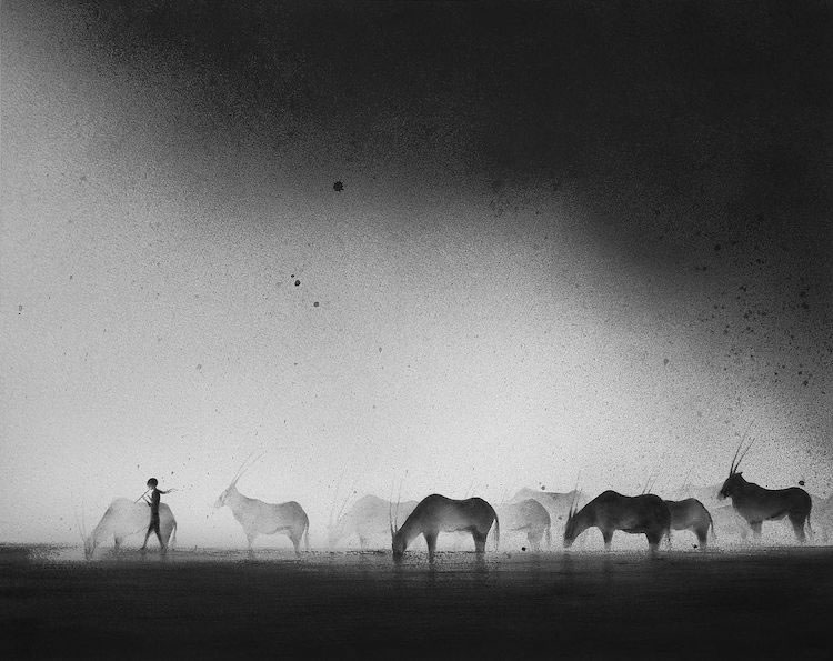 Grayscale Watercolor Paintings By Elicia Edijanto