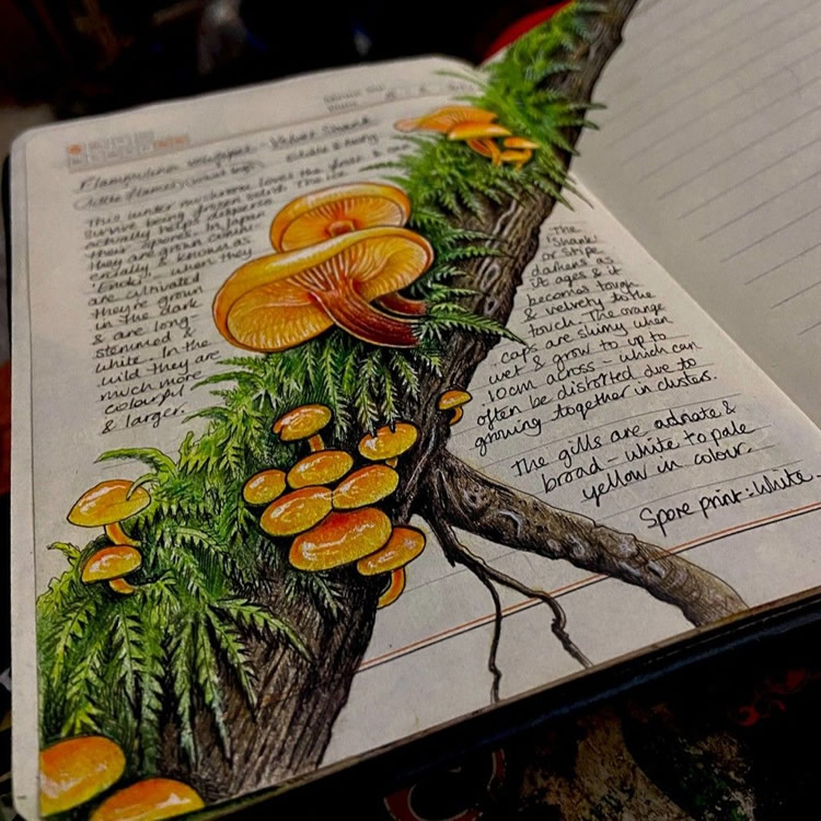 Nature Illustrations Journal By Bernoid