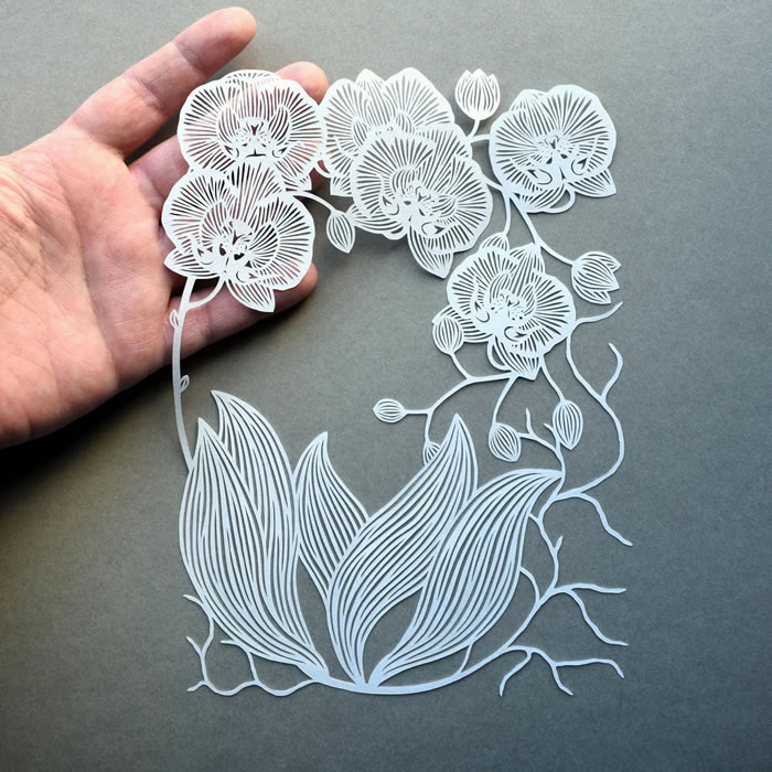 Paper Art By Pippa Dyrlaga