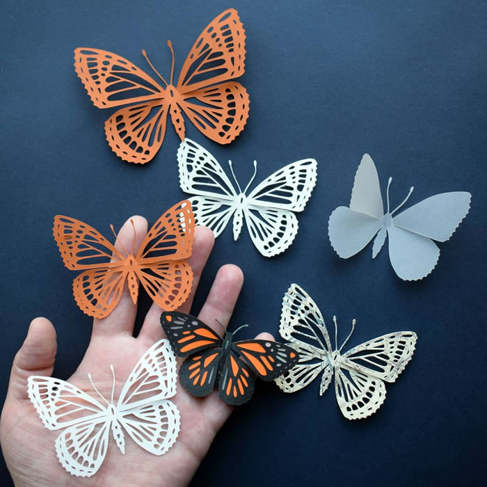 Brilliant Paper Art - Paper Cutting Artwork By Pippa Dyrlaga