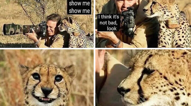 20 Memes About The Struggles Of A Photographer
