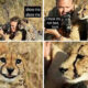 20 Memes About The Struggles Of A Photographer