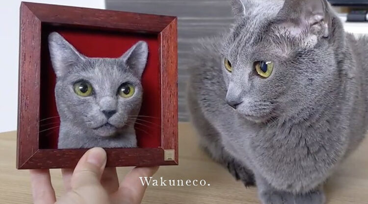 Japanese Artist Sachi Creates Realistic Cat Portraits Using Felted Wool