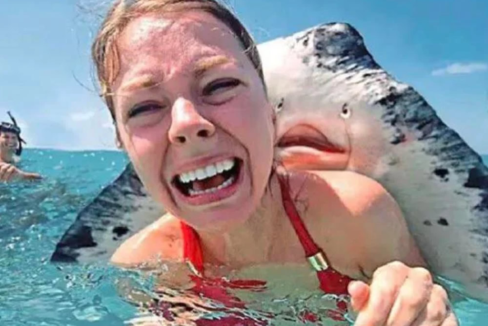 30 Interesting Photos That Whole Story Was Told With A Single Image