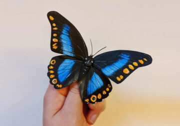 Paper Sculptures Of Butterflies By Kerilynn Wilson