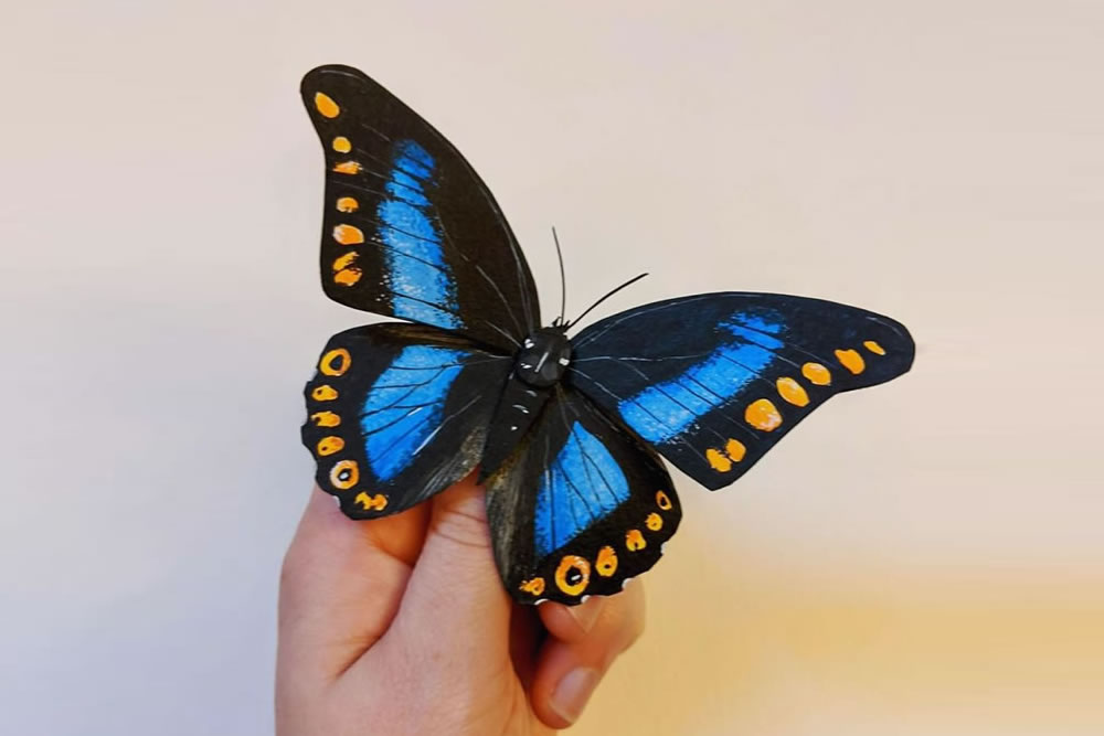 Paper Sculptures Of Butterflies By Kerilynn Wilson