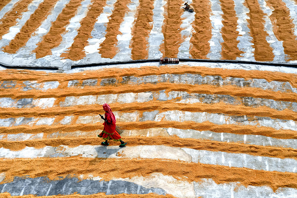 Paddy Drying Processes In Manual Mode