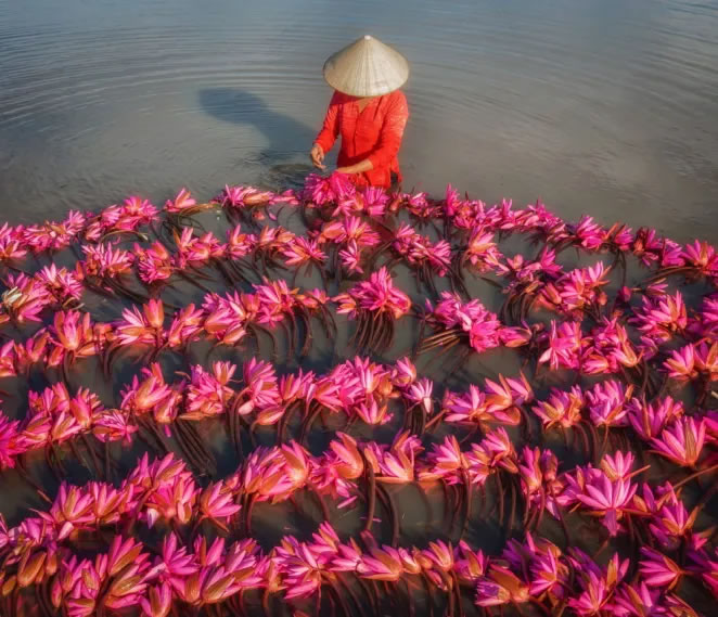 Vietnam Aerial Photography By Pham Huy Trung