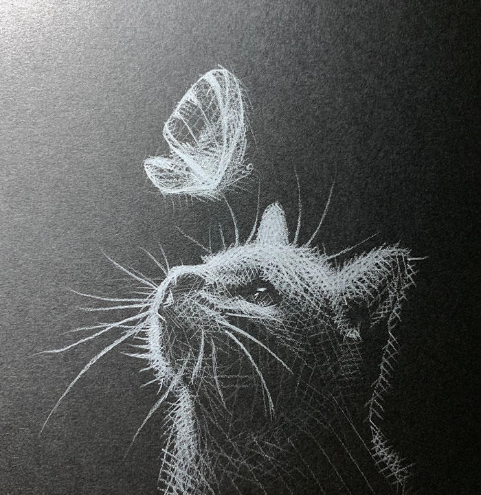 White Pencil Black Paper Drawings By Kay Lee